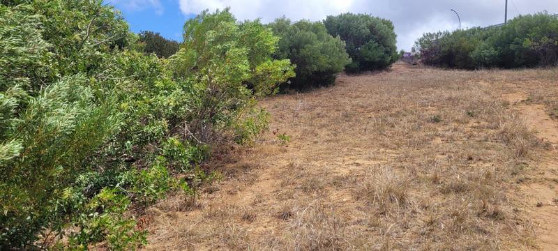 0 Bedroom Property for Sale in Dana Bay Western Cape